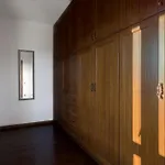 فيلة Vicanti بيلوس