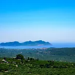 فيلة Vicanti