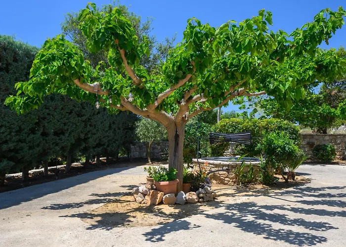 Vicanti * פילוס